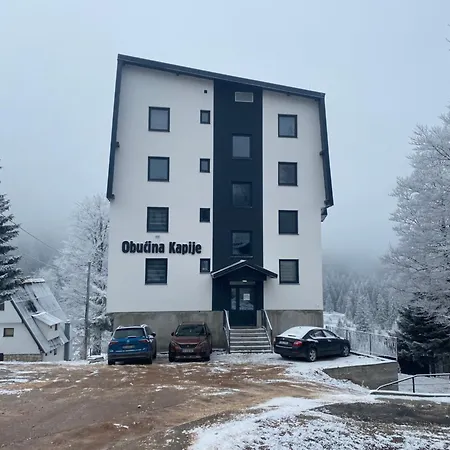 Antora * Τζαχορίνα