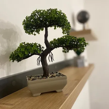 Διαμέρισμα Antora *